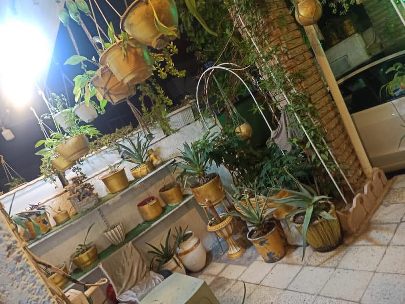 بيت للبيع مساحه 200متر الواجهه 10 والنزال20 العنوان حي الجهاد منطقه الخارجيه 